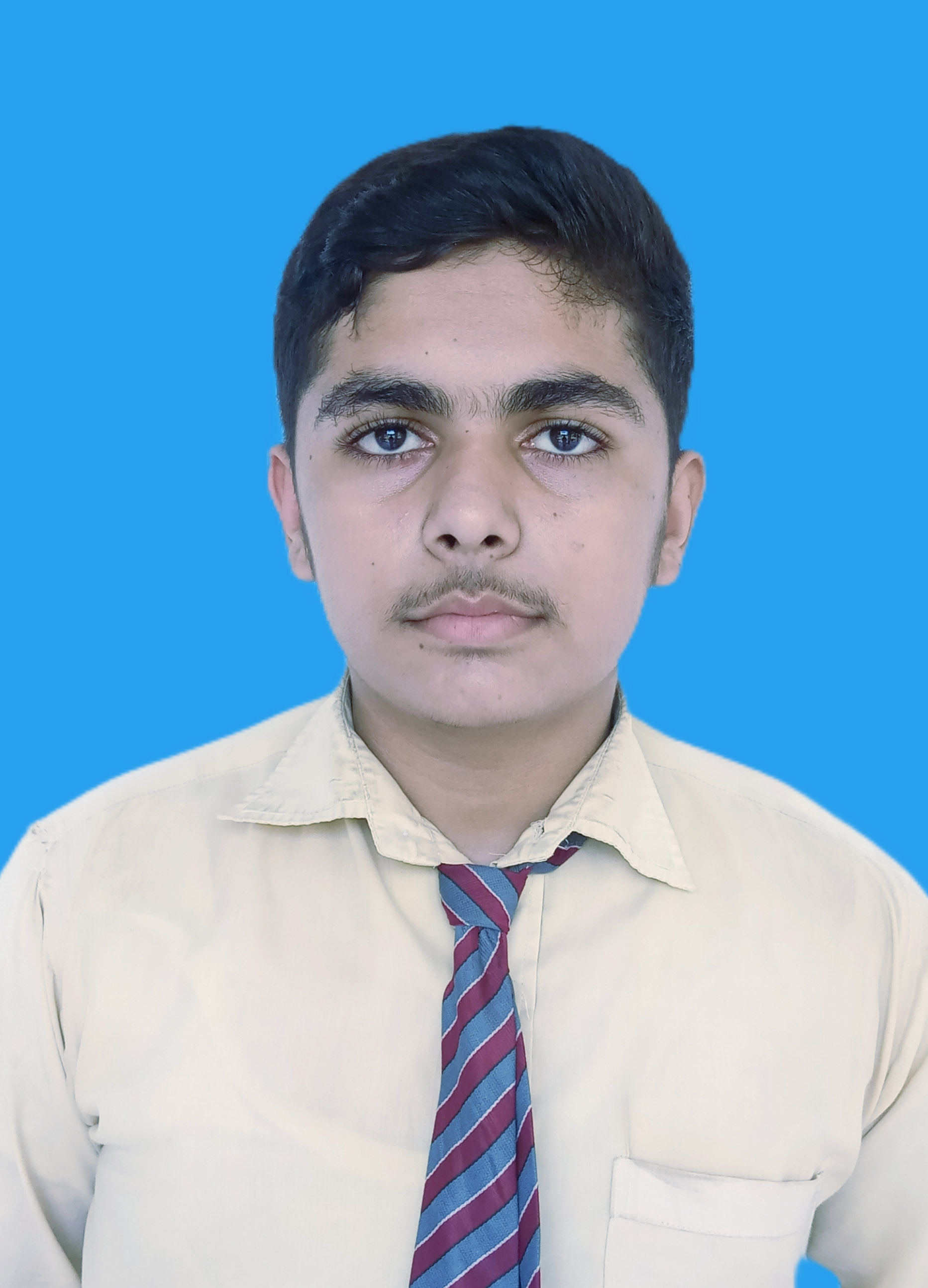 Muhammad Tauqeer Abbas